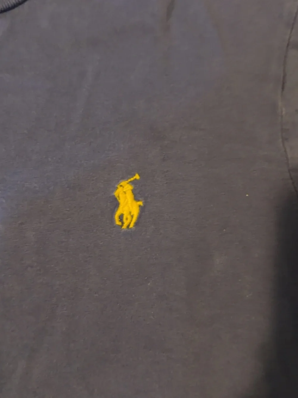 Polo by Ralph Lauren Blue Crewneck Tee with White Printed Label